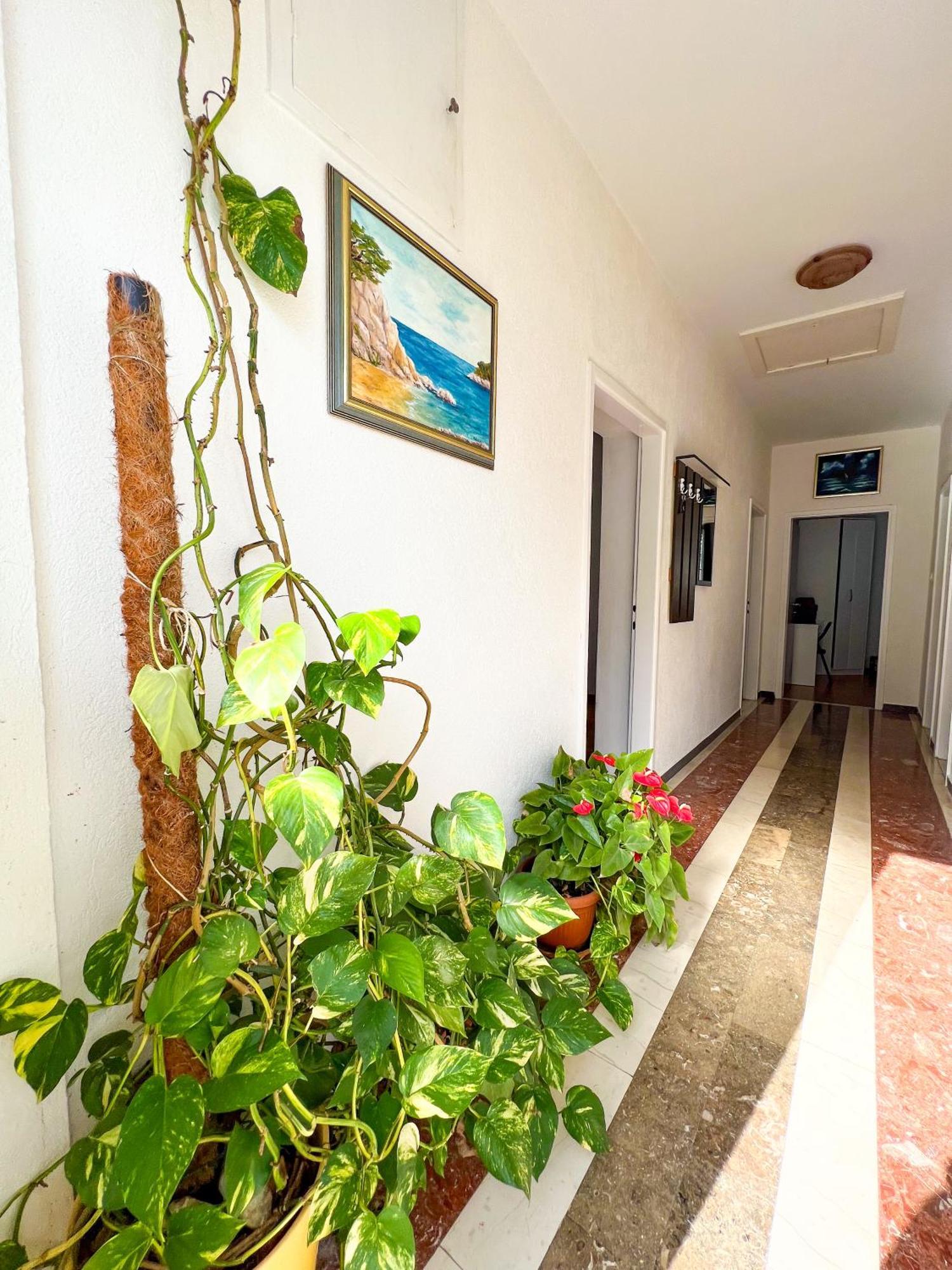 Apartment Bava Dubrovnik Exterior foto